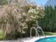 Solides Einfamilienhaus mit großzügig-ruhigem Garten und Pool - Pool im Sommer