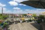 Max-Kreuziger-Haus: Maisonette mit fantastischen Aussichten - Die großzügige Dachterrasse