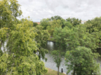 Der Spreeblick